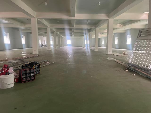 桃園桃園區廠房-0