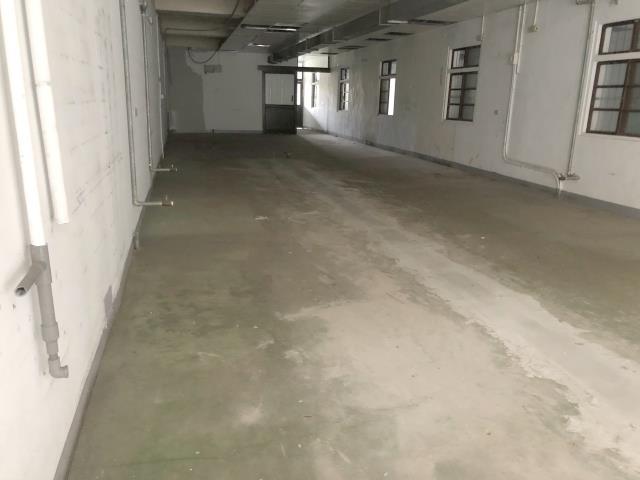 桃園桃園區廠房-0
