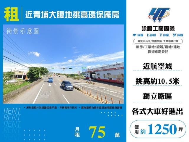 桃園大園廠房-0